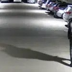 Trespasser detained at Denver apartment