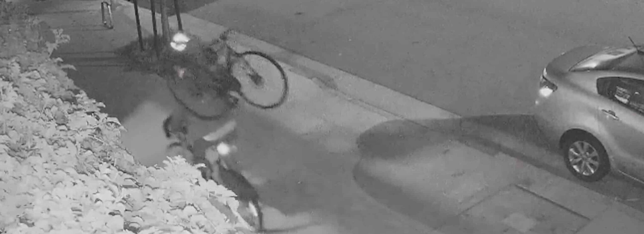Bicycle Thief Caught Hero scaled 1