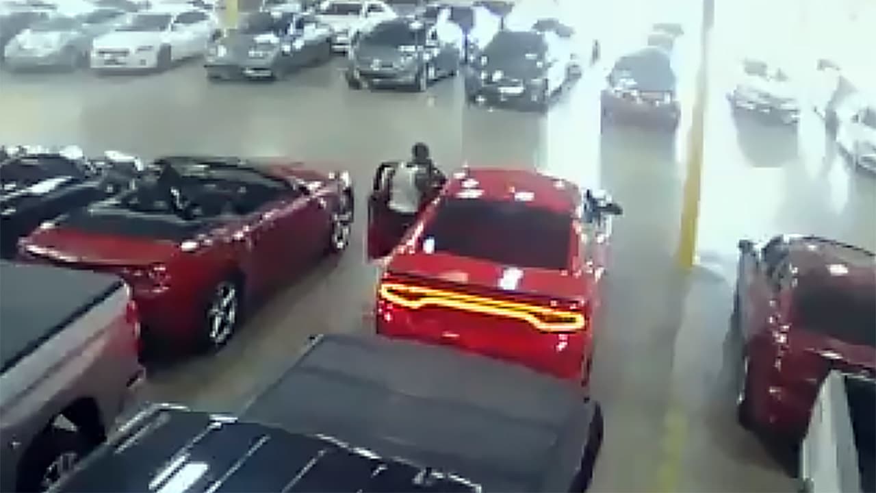 Daytime Car Theft Caught on Video listimage
