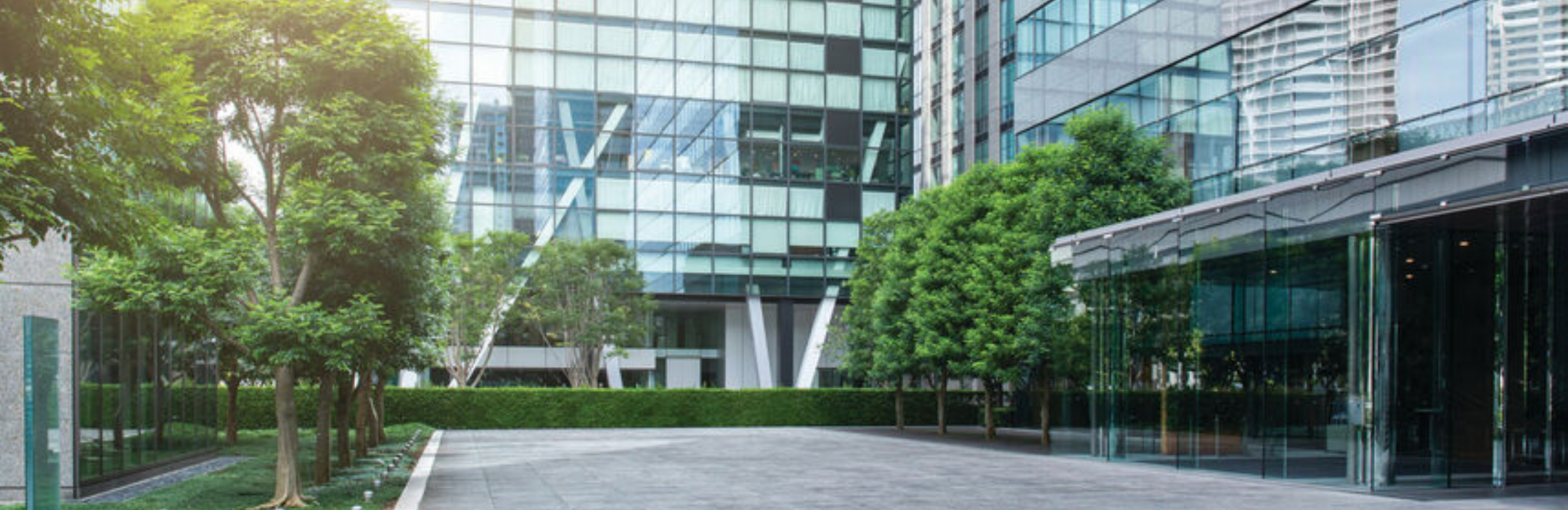 ECAM Office Blog hero