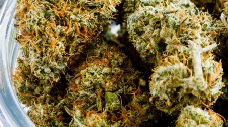 Marijuana Dispensary Security at New California Weed Town hero scaled 1