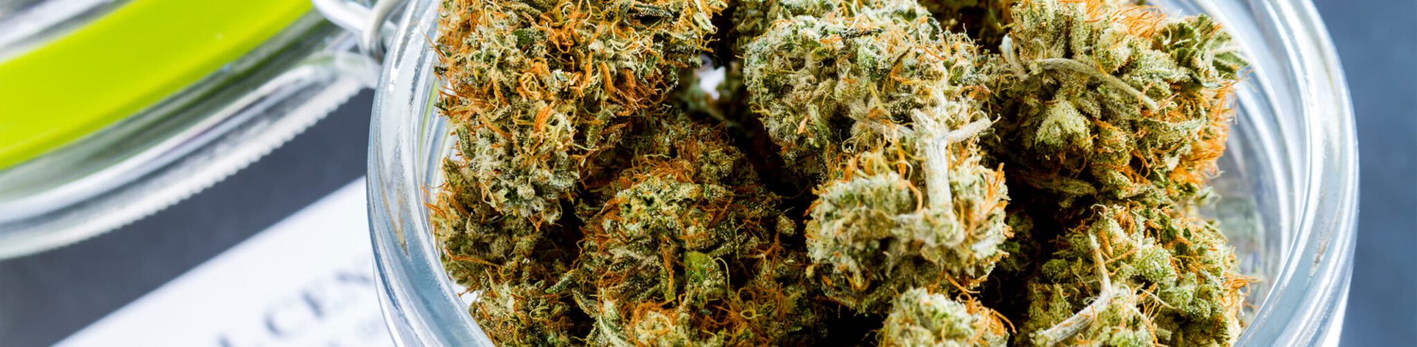 Marijuana Dispensary Security at New California Weed Town hero scaled 1