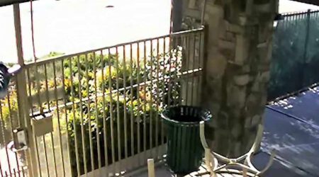Speaker stops kid climbing pool fence hero scaled 1