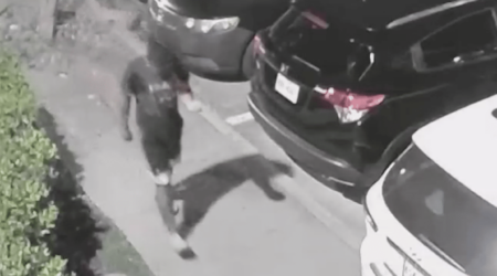 Texas Parking Lot Prowler Placed in Custody Hero