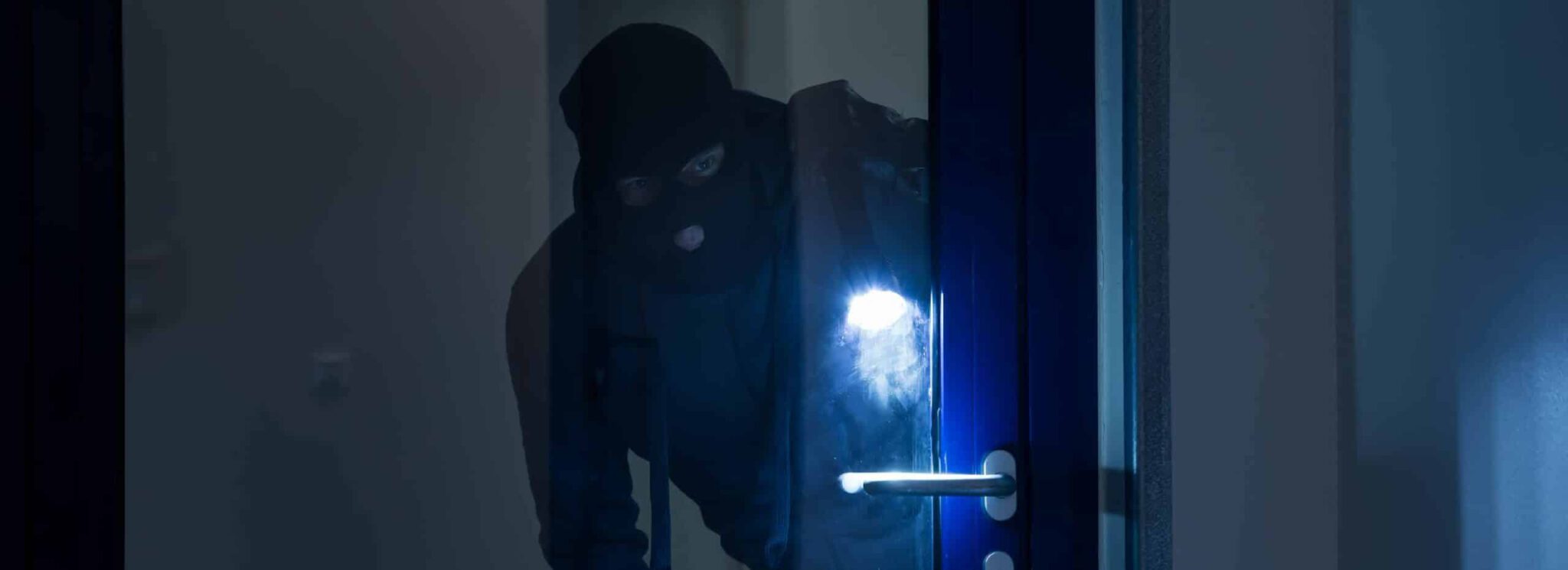 Tips On How You Can Reduce Theft Hero scaled 1
