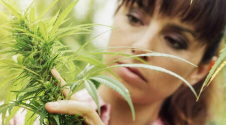 Video Surveillance in the Cannabis Industry Hero scaled 1