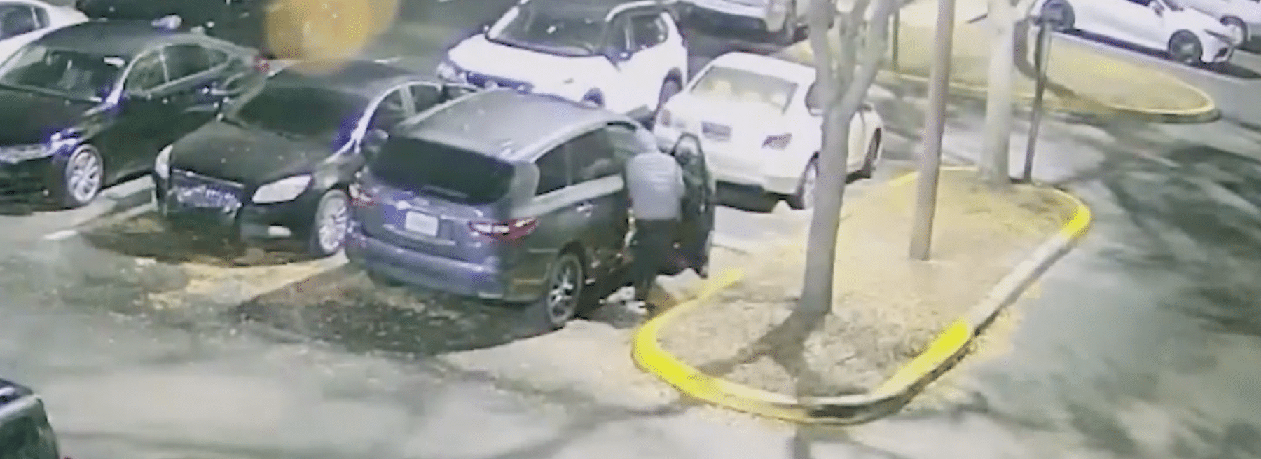 Woodridge Apartments Hero